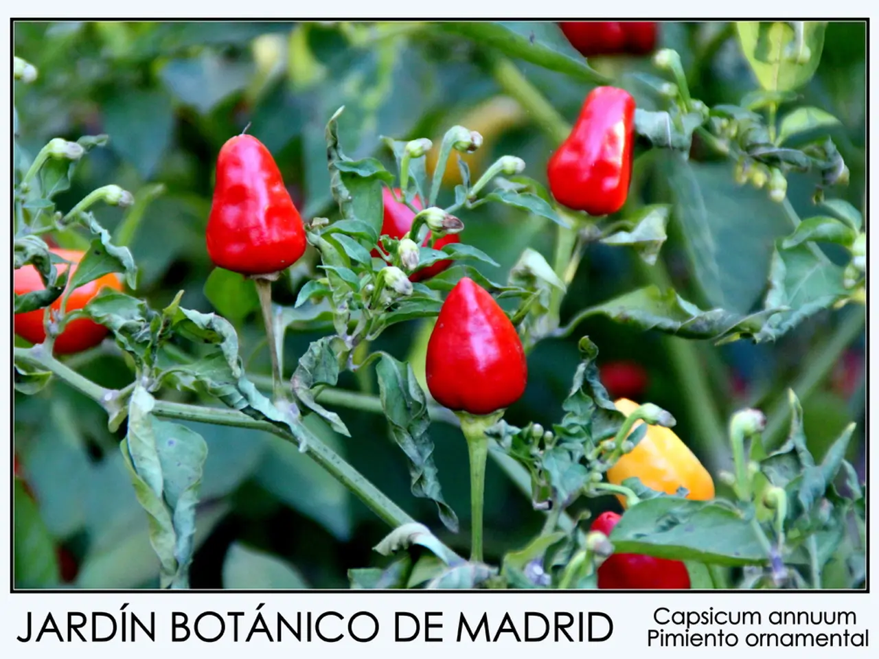 Sinus Infection: Signs, Causes, and Remedies