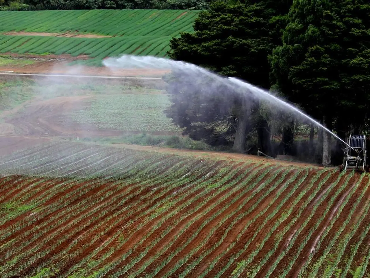 Advantages of Agroecological Methods for Small-Scale Agriculturalists