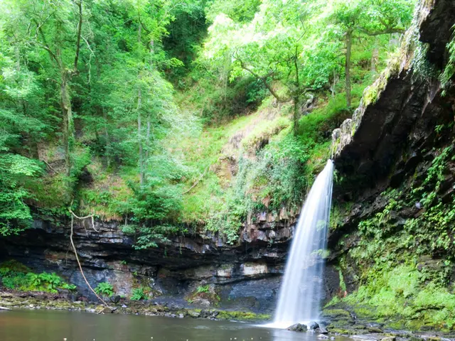 Tourist in Thailand Receives Staggering $7 Million Hospital Bill After Waterfall Mishap