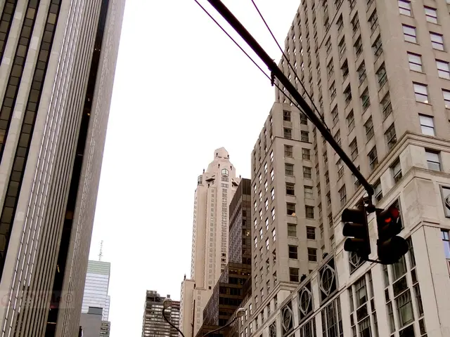 11 Unusual Observations Made by Residents of Rural Areas Upon Arrival in Major Urban Centers: