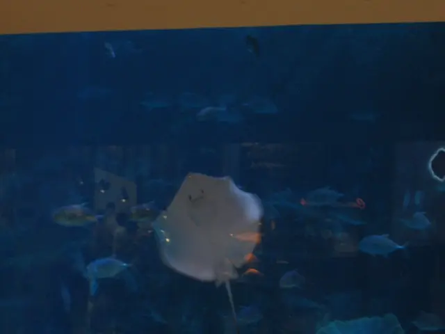 DIY Terrarium in an Aquarium: Sea-Crets Guide