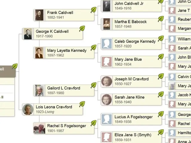 Top 20 Prevalent Last Names in the USA (with Their Significance)