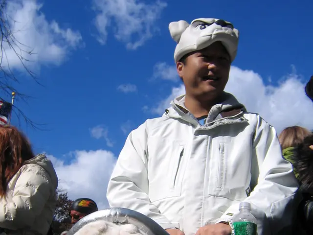 Guidance for hassle-free pet travel: Crucial suggestions for a serene getaway with your fur friend