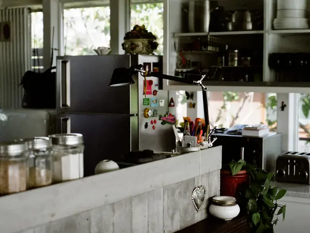 DIY Handyman Tips: Fixing Refrigerators and Toilet Flushing Issues