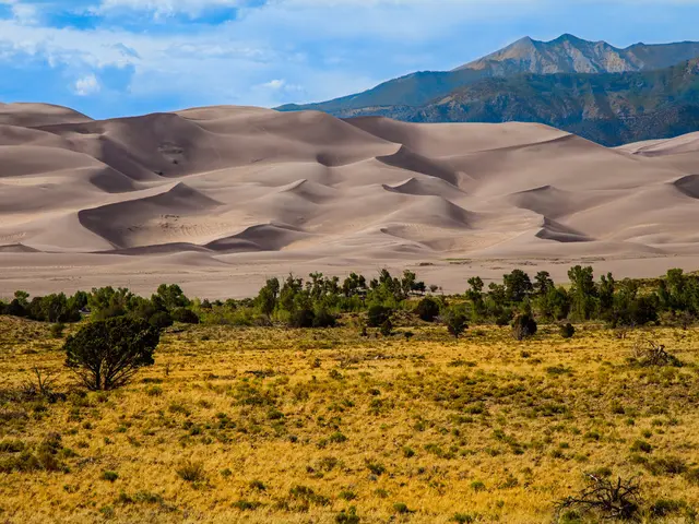 Mastering Desert Landscape Photography: Essential Techniques for Magnificent Shots