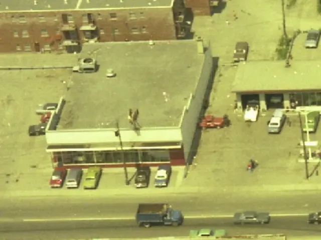 Tourist-driven car rental bookings