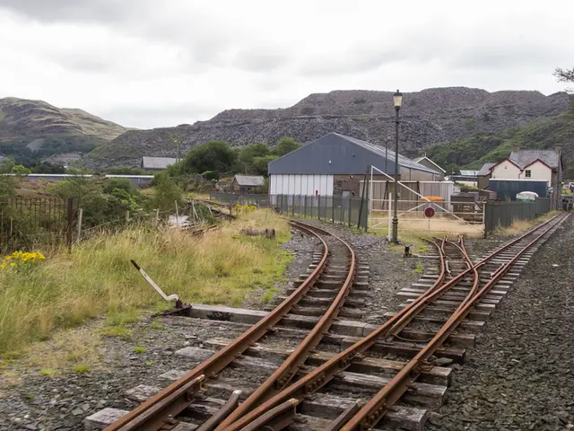 Nine Strategies for Combining Cultural Exploration with Regular Nature Walks to Instill...