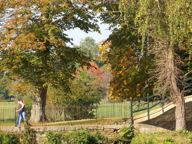 Vacation Ideas: Eight Strong Reasons to opt for a National Park with your Family Next Time