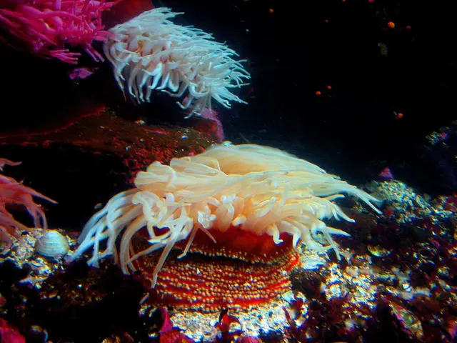 Idyllic Charleston day trips featuring pristine sandy shores, invigorating waves, and a stress-free...