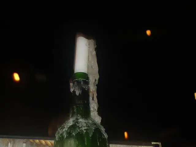 I'm planning to enroll in a linguistics program.