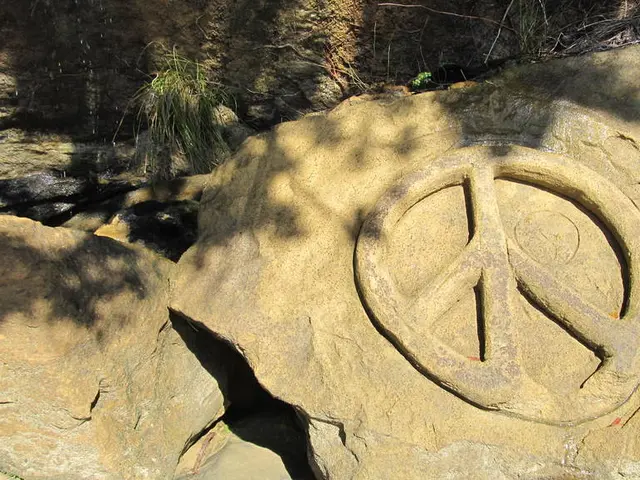 Exploring the Wilderness: A Journey Through Australia's Vast Interior