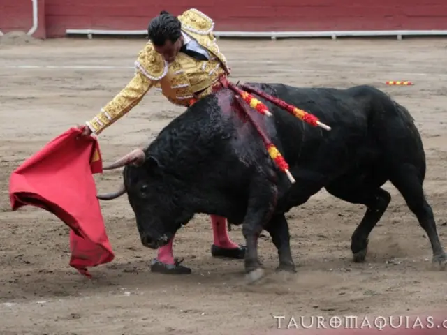 Livestock in the Seventh Enclosure of San Fermín 2025: La Palmosilla Facing a Significant Test