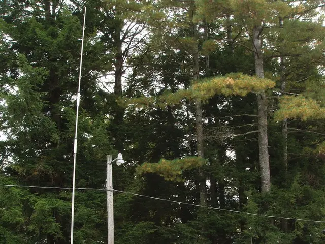 County Police Encourage Summer Travelers