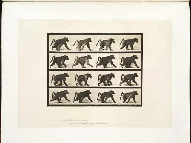 Traveling in Europe: Caution Regarding These Wildlife Encounters