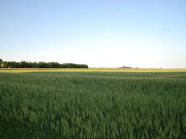 Guidelines for Exploring Killarney National Park