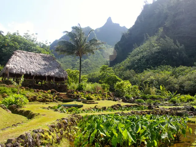 Inflammation: Is it Significant? Symptoms, Originators, and Cures