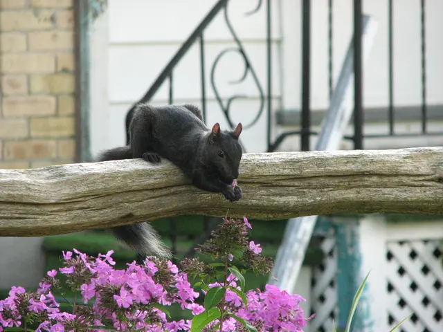 Top Australian Crime Novels to Read