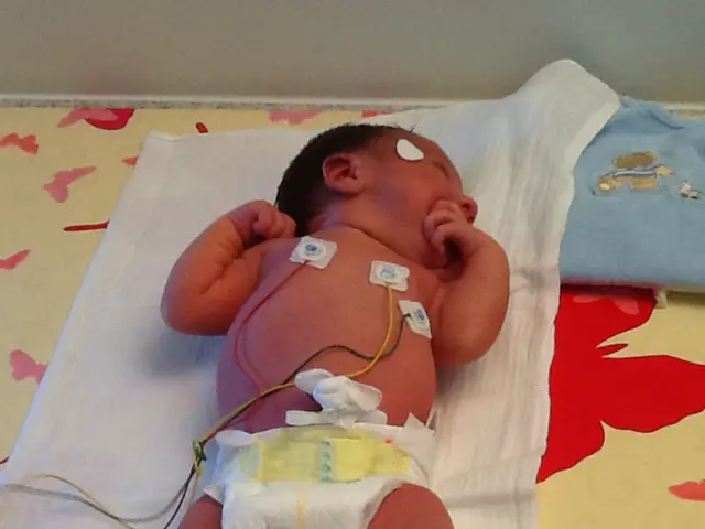 Kernicterus Development and Bilirubin Breakdown Process