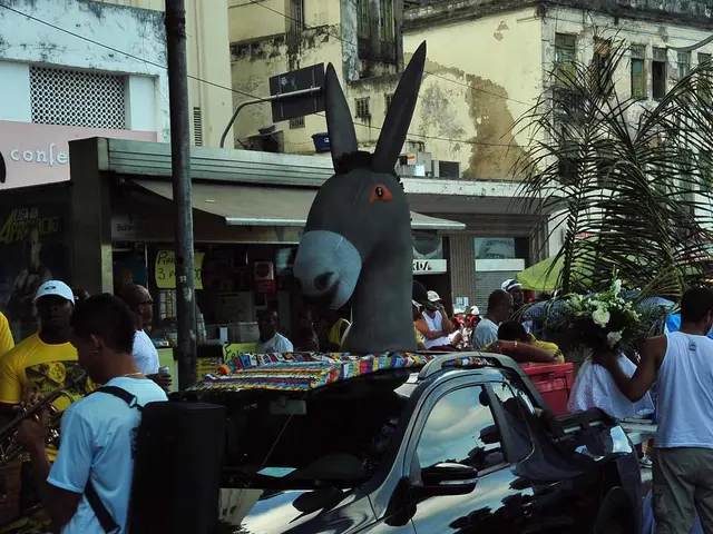 Explore Dresden's cultural scene without spending a dime: 10 complimentary experiences