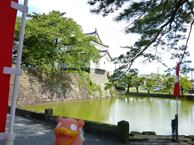 Stunning Summer Holiday Destinations in Baden-Württemberg