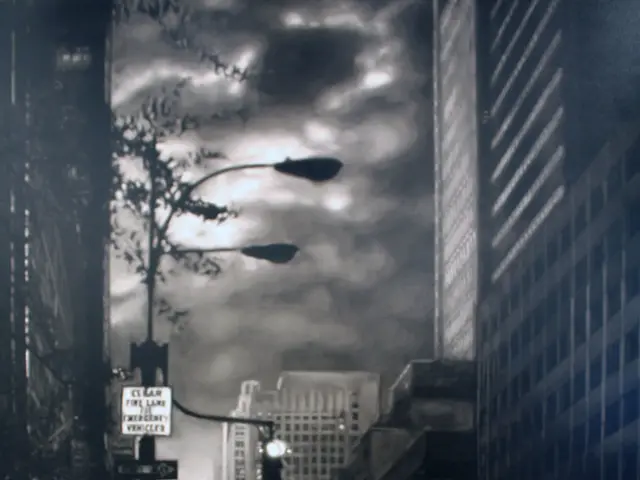 Examining Aviation Weather Disruption Guidelines - Unraveling the Intricate Legalities