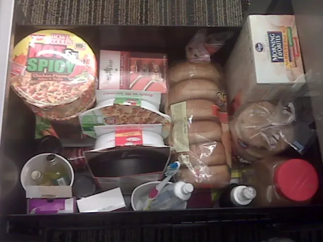 Essential Items for Your Disney Park Backpack