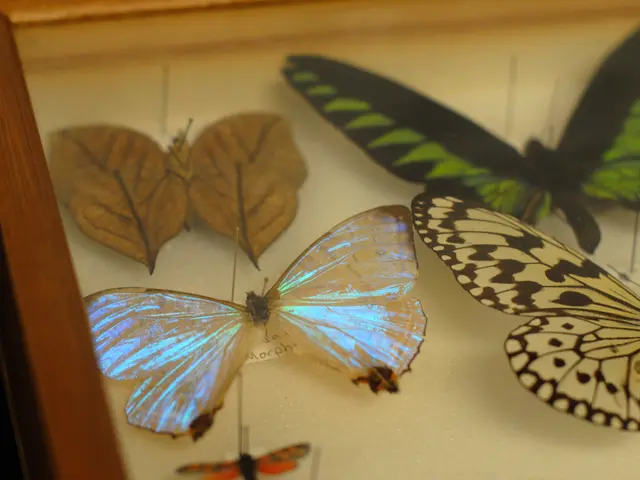 Picking Color Schemes and Typography for a Logo: Suggestions and Pitfalls to Avoid