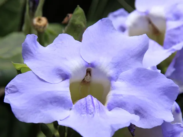 Eliminating Mold from Reptile Enclosures with the Help of Springtails (Permanently)