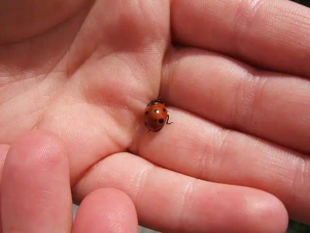 Genetic, Harmless Shaking Disorder Explanation