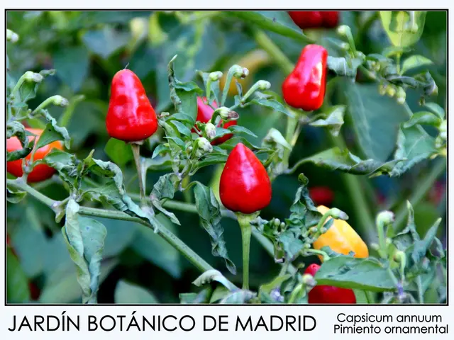 Sinus Infection: Signs, Causes, and Remedies