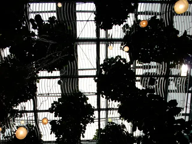 Investigating Mildew Growth in Soil: Identifying Causes and Offering Resolutions for White Mold...