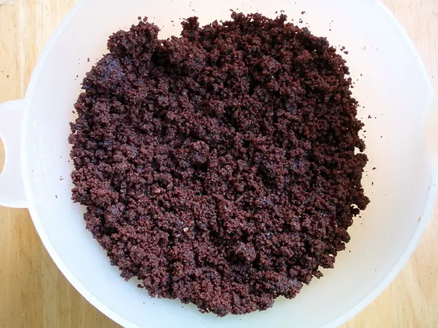 Examining Colonoscopy for Ulcerative Colitis: Reasons, Preparation, and Additional Details