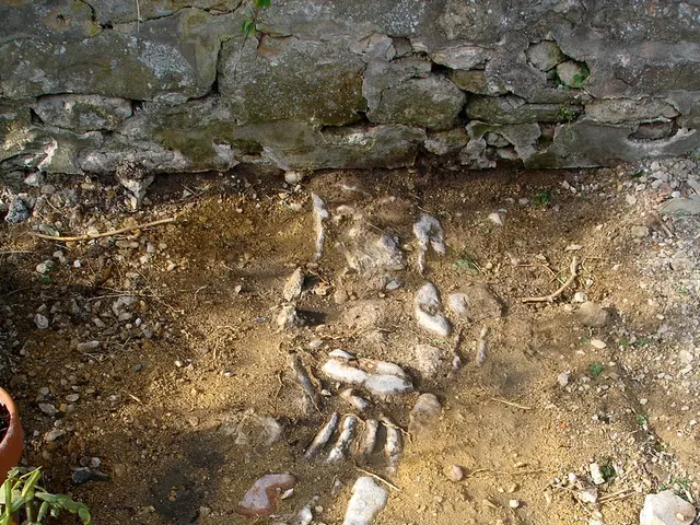 Archaeological find: A seldom-seen medieval pot unearthed at the UNESCO potential heritage location...