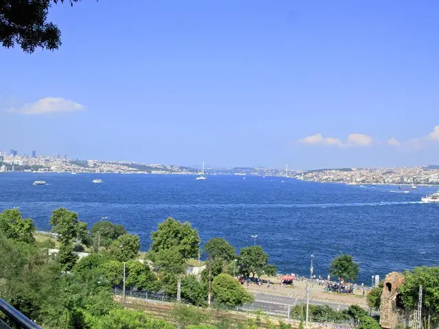 Holiday rental properties along the Baltic and North Seas are mysteriously vacant - hosts are...