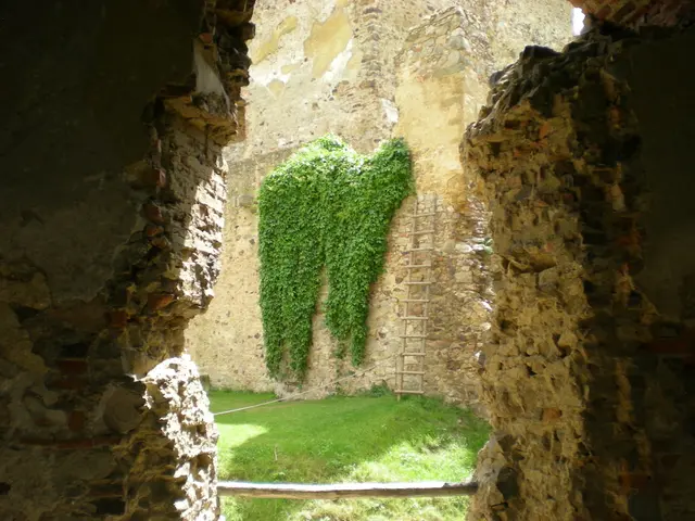 Exploring the Intricacies of Boulder Opal