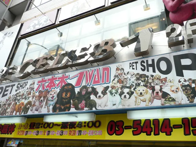 Delving into the Enigmatic Realm of Artifacts in Documentaries