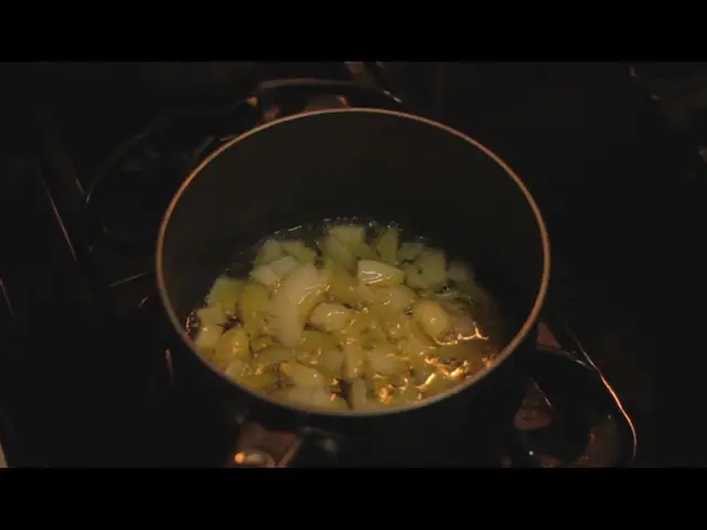 Heating Appliances: Wood-Burning Boiler Stoves