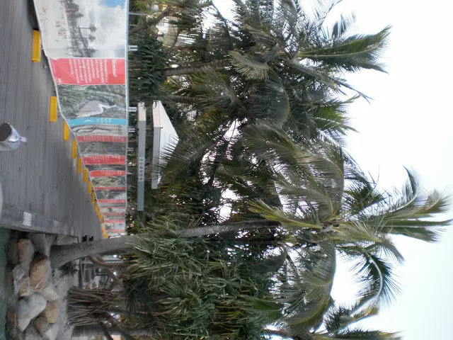 Best Bus Journey from Lima to Cusco: Peru Hop Experience