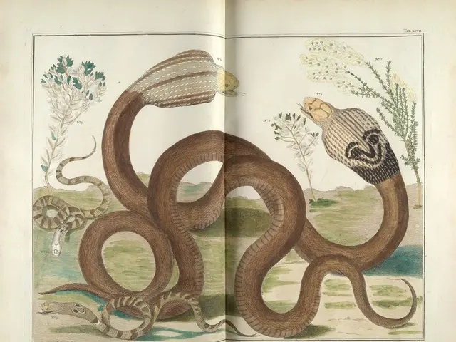 "Expansion Unchecked": Venomous snakes are invading vacation hotspots