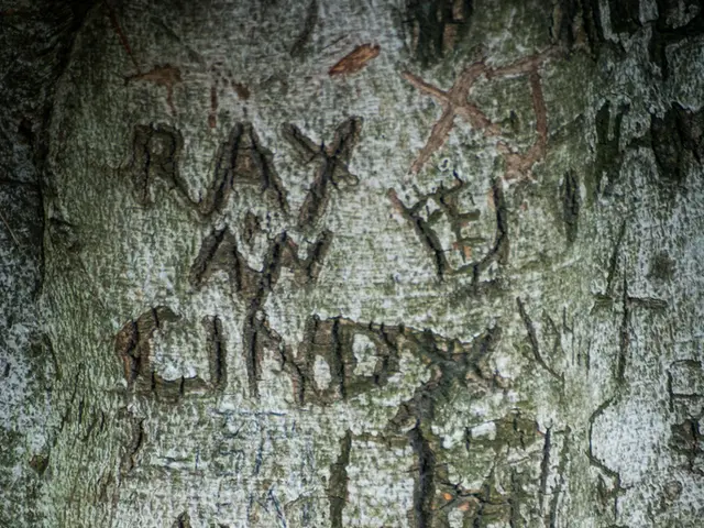 Refashioned Luggage by Rimowa Transforms Travel Mishaps into Wearable Commemoratives