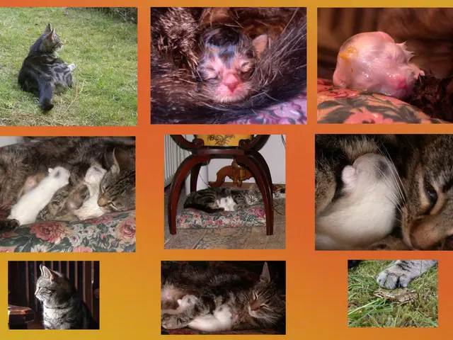 Zoos, regardless of their moral or ethical debates, are set to continue operating for a period of...