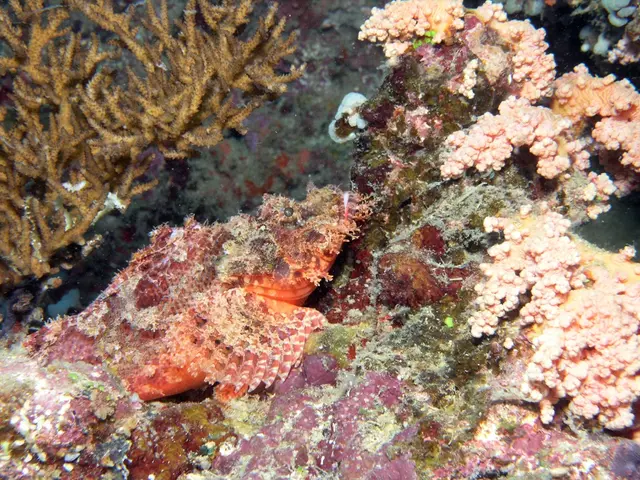 Struggle for wetlands, wild animals, and youth-led preservation in the Philippines highlighted by...