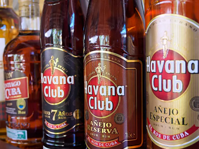 Comprehensive Handbook for Liver Health Maintenance