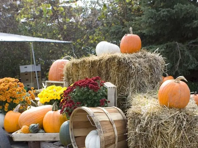 Railroad Equipment and Jack-o'-lanterns