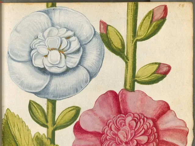 "Road Trip Motion Picture," gently portraying a heartwarming mother-son bonding journey