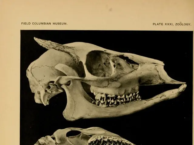 Delving into the Enigmas of Brain Tumors: Expert Insights Revealed by Dr. Rao