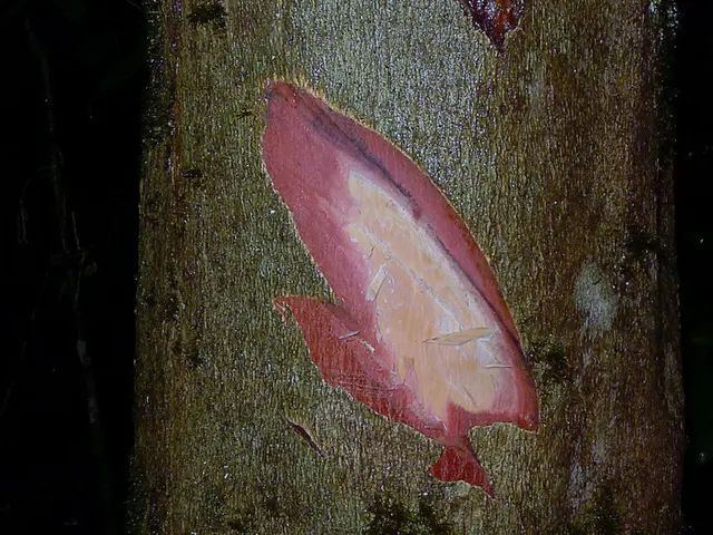 Costly, intricate, and lacking adaptability. The current UK visa system is inconsistent with...