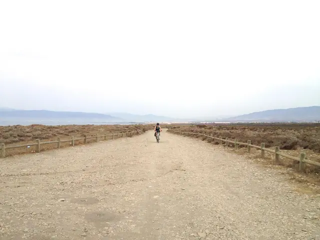 Passionate Director Seeking Unrestricted Liberty