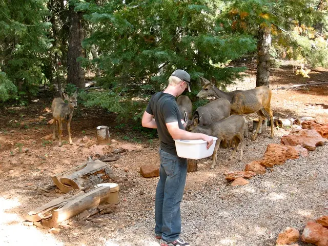 Arkansas field yields enormous diamonds for New Yorker