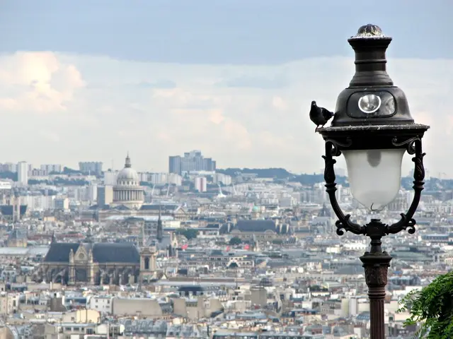 Monitoring Eye Movements to Analyze Human Reactions towards Conventional Residential Layouts